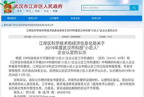 祝賀我司獲得江岸區科學技術和經濟信息化局2019年度武漢市科技“小巨人”企業認定