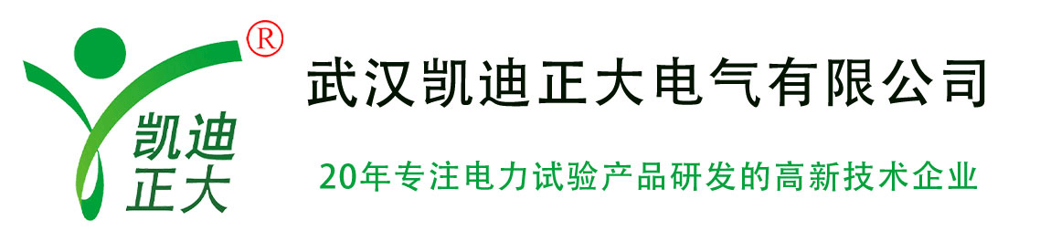 武漢凱迪正大公司